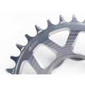 Helix Race e*spec Chainring - Direct Mount TQ HPR50 - Silver