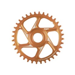 Plateau Retainer Ring R22 Spiderless E-Bike Bosch 55 mm Wide - Bronze