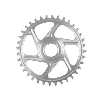 Plato Retainer Ring R22 Spiderless E-Bike Bosch 55 mm Wide - Plata
