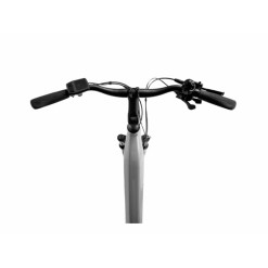 Duma 4.2 Electric Bike, Gray - iPO730