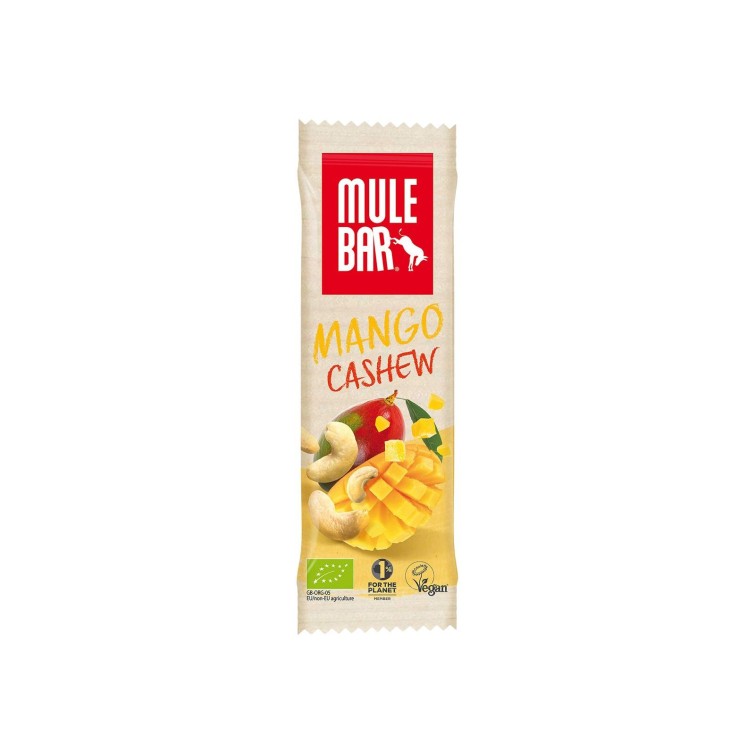 Mango and Cashew Energy Bar