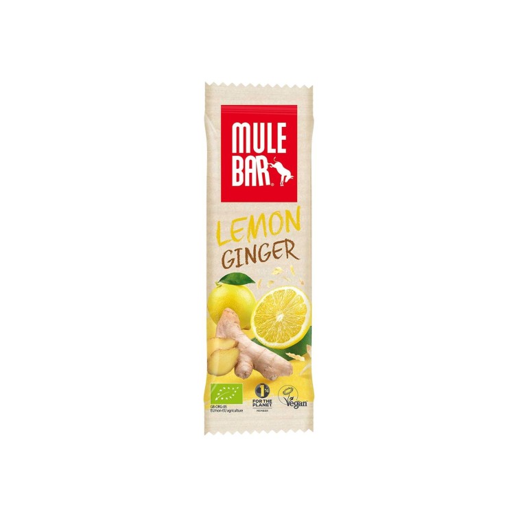Lemon, Ginger and Guarana Energy Bar