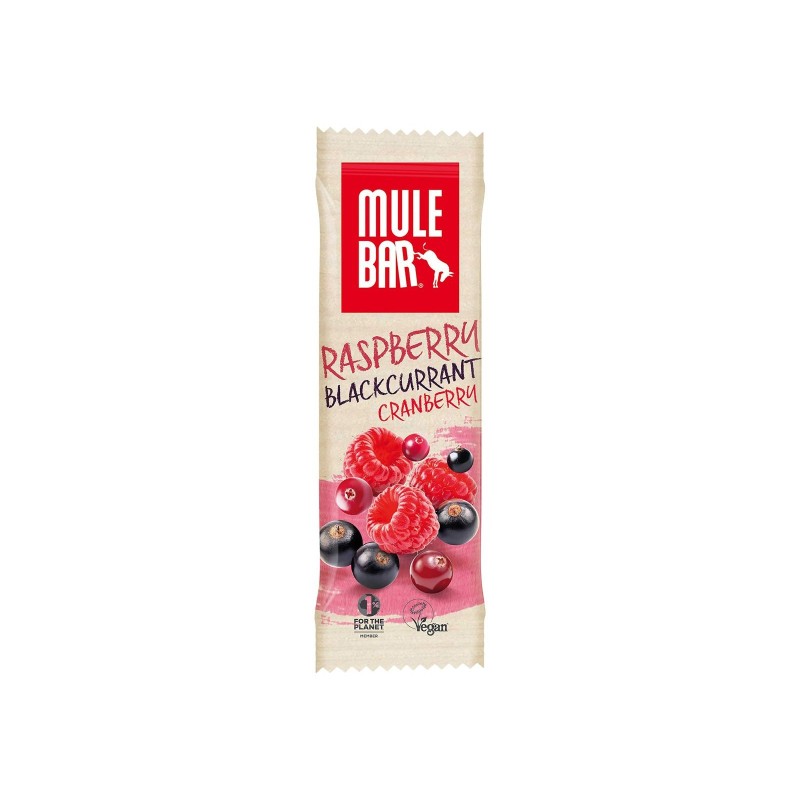 Blackcurrant, Cranberries and Raspberry Energy Bar