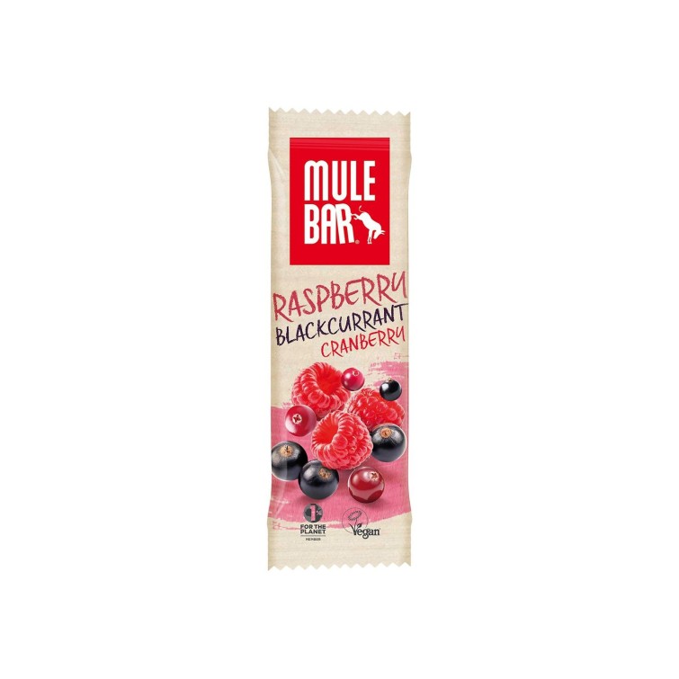 Blackcurrant, Cranberries and Raspberry Energy Bar
