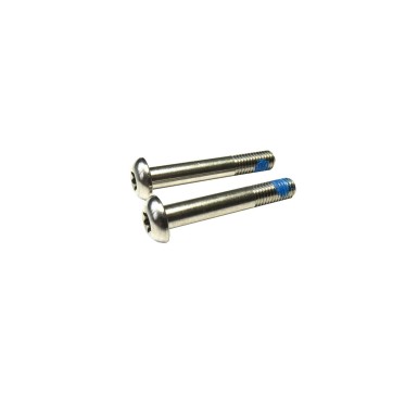 Tornillos de titanio para adaptador Flat Mount (x2)