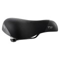 T 2 Flow Saddle