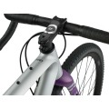 Bicicleta gravel RUUT CF2 - Plateado