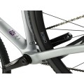 Bicicleta gravel RUUT CF2 - Plateado