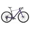 Vélo Gravel Arid Carbon R Ultraviolet