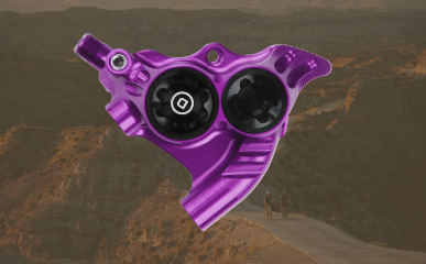 Rear Disc Brakes