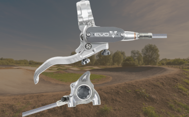 Rear Brakes