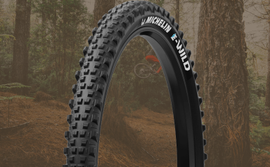 E-Bike Tires and Tubes