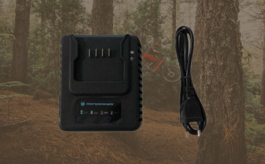Battery Chargers